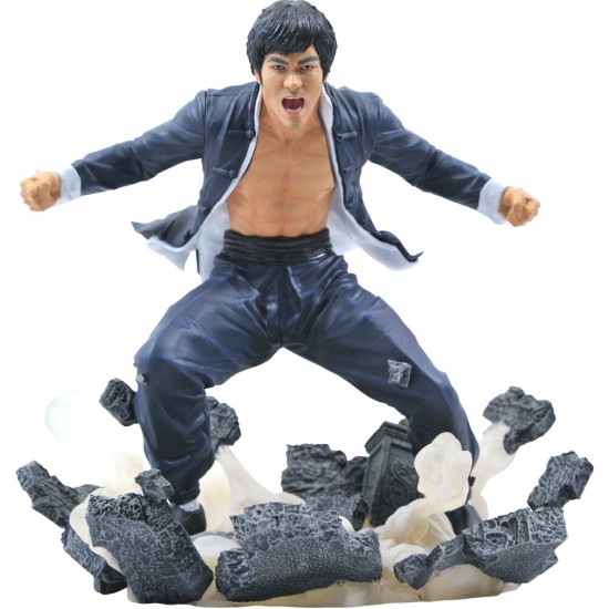 Diamond Select Torys Bruce Lee Gallery "Earth" PVC Statue
